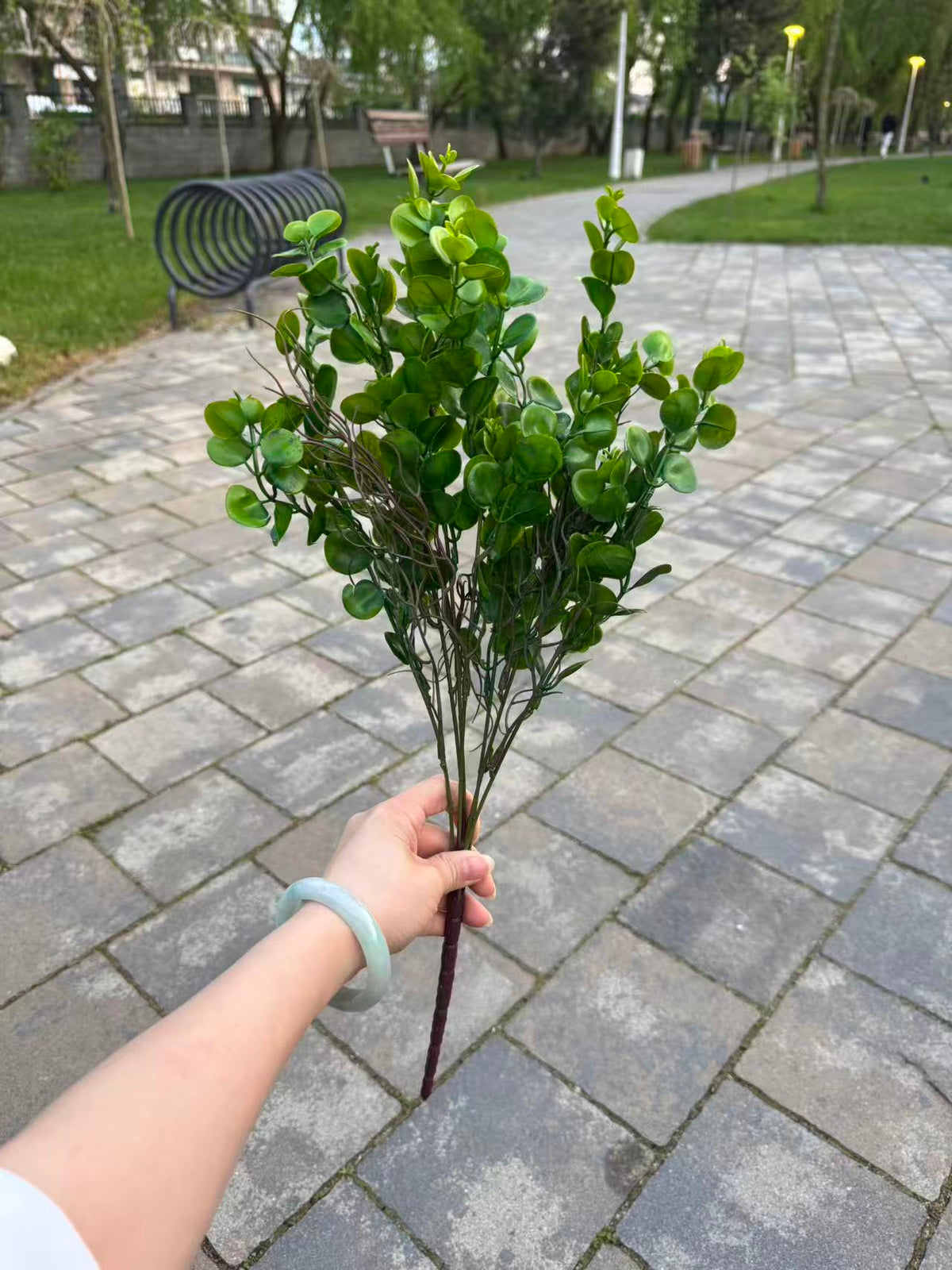 Buchet artificial de eucalipt cu frunze rotunde, 55 cm, Ruyidecor