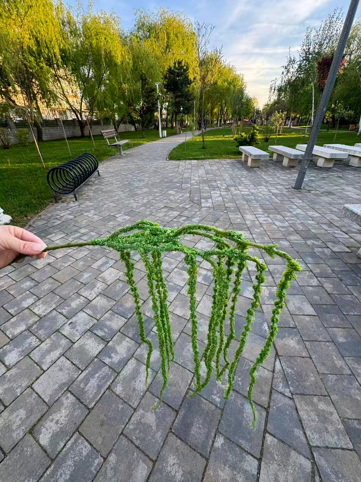Ghirlanda artificiala curgatoare decorativa, 65 cm, alb sau verde, Ruyidecor