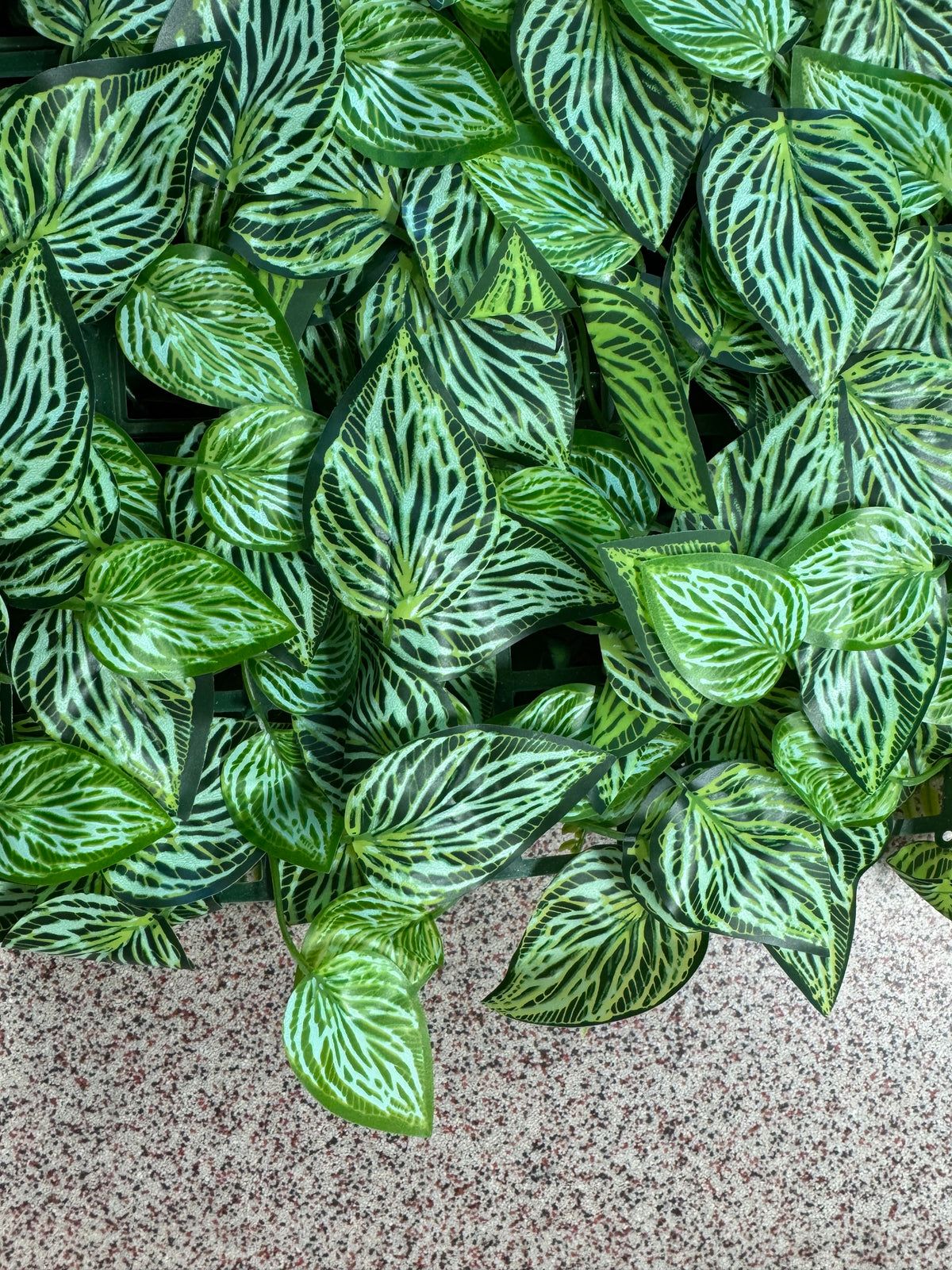 Panou verde artificial cu frunze dungate, 40 x 60 cm, Ruyidecor