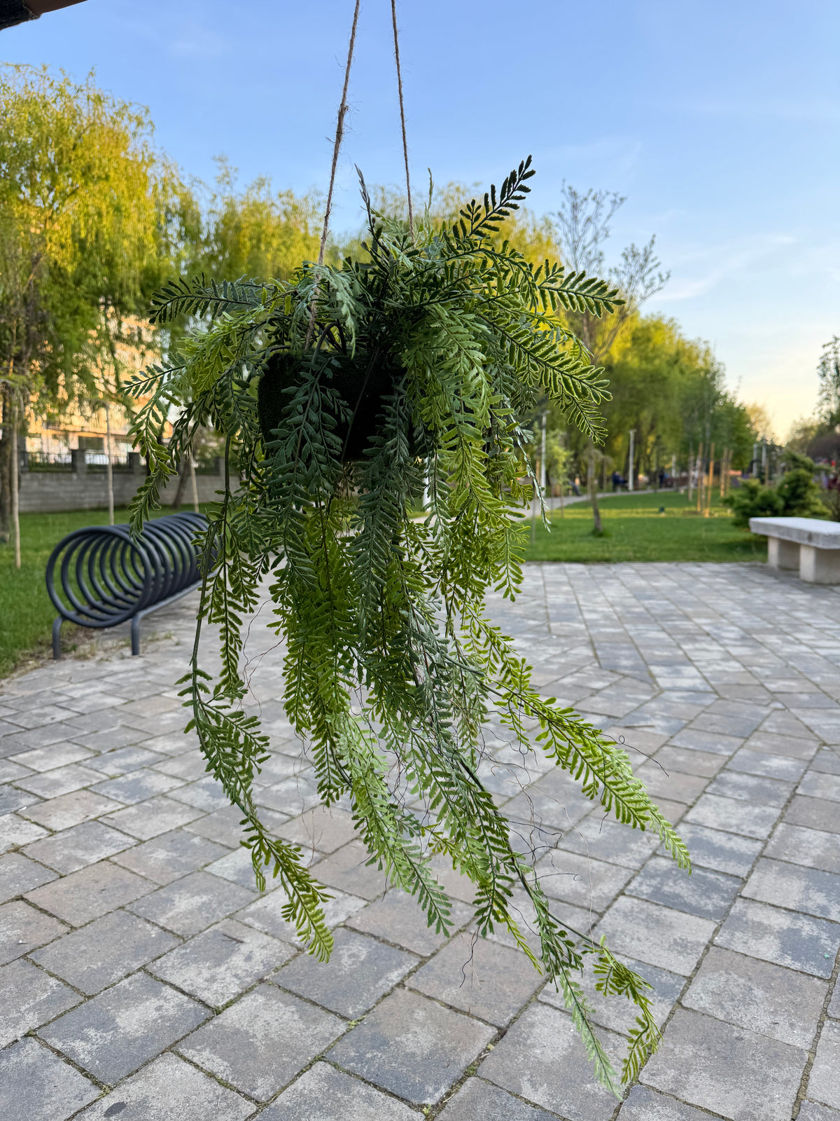 Planta artificiala suspendata tip feriga cu suport sferic, 90 cm, Ruyidecor