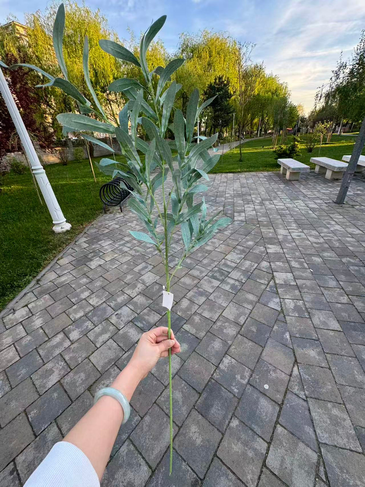 Ramura artificiala cu frunze inguste, 85 cm, 2 culori, Ruyidecor