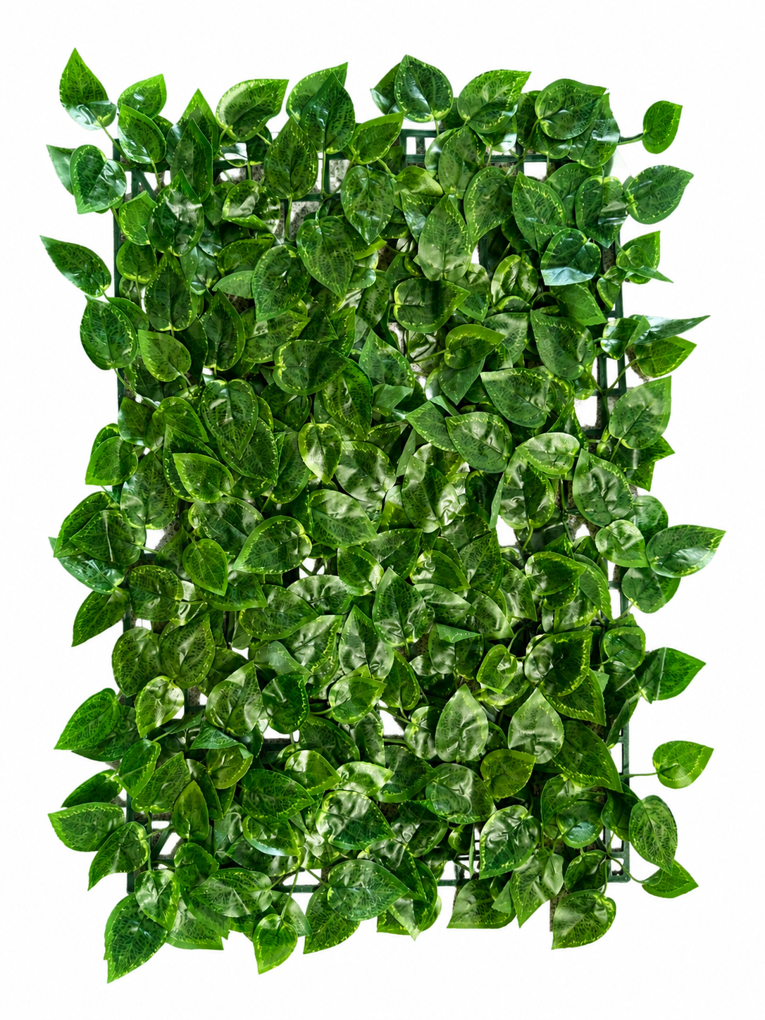 Panou Decorativ Artificial cu Frunze Verzi Lucioase, 40 x 60 cm