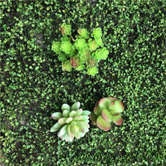 Panou artificial 40cmX90cm