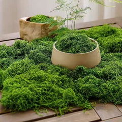 Mușchi Decorativ Artificial, Verde Intens, 1 kg