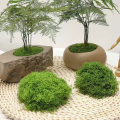 Mușchi Decorativ Artificial, Verde Intens, 1 kg