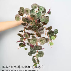 Planta Artificiala Cazatoare cu Frunze Decorative Rotunde, 56x30cm