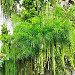 Planta Artificială Suspendată – Fire Subțiri Curgătoare, Stil Cascadă, 60 cm