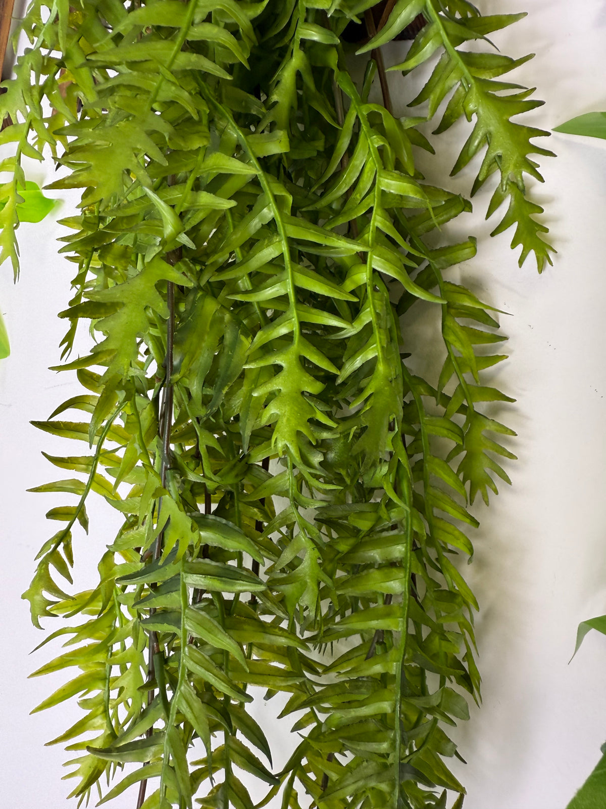 Planta artificiala curgătoare – Stil Asparagus/Pin, 90 cm