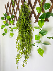 Planta artificiala curgătoare – Stil Asparagus/Pin, 90 cm