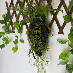 Decor Suspendat Tip Kokedama cu Ferigă și Plante Căzătoare 120 cm