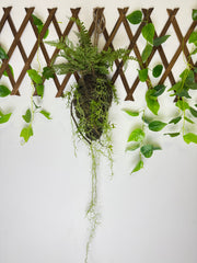 Decor Suspendat Tip Kokedama cu Ferigă și Plante Căzătoare 120 cm