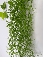 Ghirlanda Artificiala Tip Planta Aeriana – 100 cm