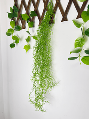 Ghirlanda Artificiala Tip Planta Aeriana – 100 cm