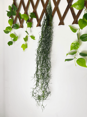 Ghirlanda Artificiala Tip Planta Aeriana – 100 cm