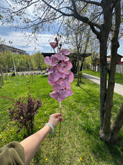 Orhidee Artificială Premium 85 cm, Floare Decorativă Elegantă pentru Vaze și Eveniment