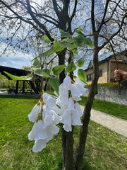 Floare Artificiala Curgatoare 110 cm, Ghirlanda Florala Eleganta pentru Arcada si Decor Evenimente