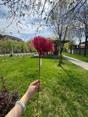 Floare Artificiala Decorativa Tip Puf  75 cm, Fir Elegant pentru Aranjamente și Evenimente