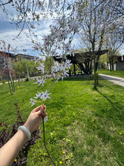 Floare Artificială Decorativă Tip Ramură cu Flori Stelate, Diverse Culori, 1 buc