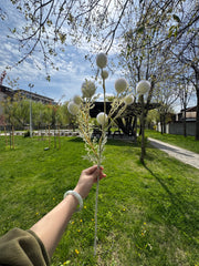 Floare Artificială Decorativă Tip Ramură cu Biluțe Pufoase, Diverse Culori, 1 buc