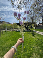 Floare Artificială Decorativă Tip Ramură cu Biluțe Pufoase, Diverse Culori, 1 buc