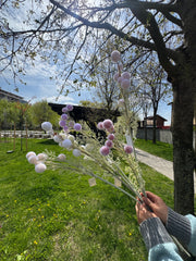 Floare Artificială Decorativă Tip Ramură cu Biluțe Pufoase, Diverse Culori, 1 buc