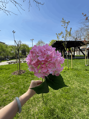 Floare Artificială Decorativă Tip Hortensie, Diverse Culori, 1 buc