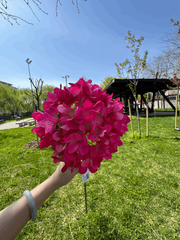 Floare Artificială Decorativă Tip Hortensie, Diverse Culori, 1 buc