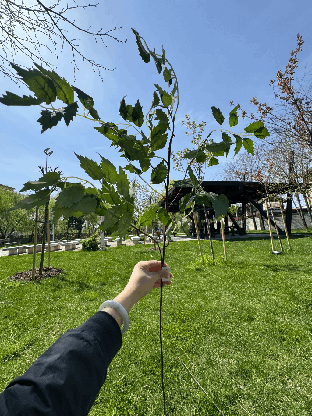 Crenguță Decorativă Artificială 90 cm, Diverse Culori, Aspect Natural pentru Aranjamente și Decor