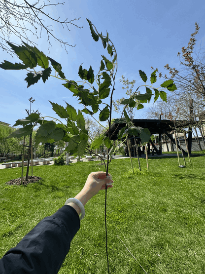 Crenguță Decorativă Artificială 90 cm, Diverse Culori, Aspect Natural pentru Aranjamente și Decor
