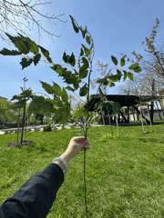 Crenguță Decorativă Artificială 90 cm, Diverse Culori, Aspect Natural pentru Aranjamente și Decor
