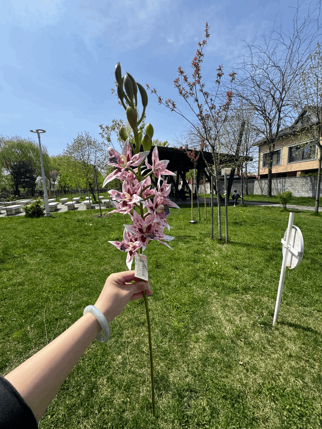 Floare Artificială Tip Orhidee Elegantă 80 cm, Diverse Culori, Aspect Exotic și Realist, 1 buc