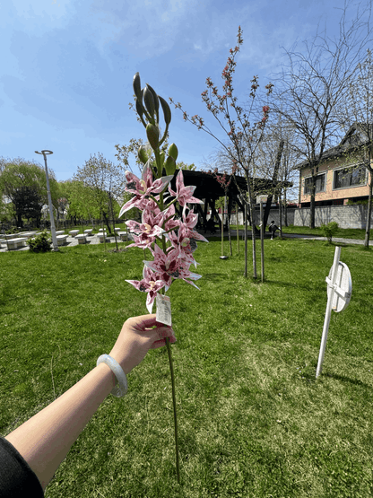 Floare Artificială Tip Orhidee Elegantă 80 cm, Diverse Culori, Aspect Exotic și Realist, 1 buc