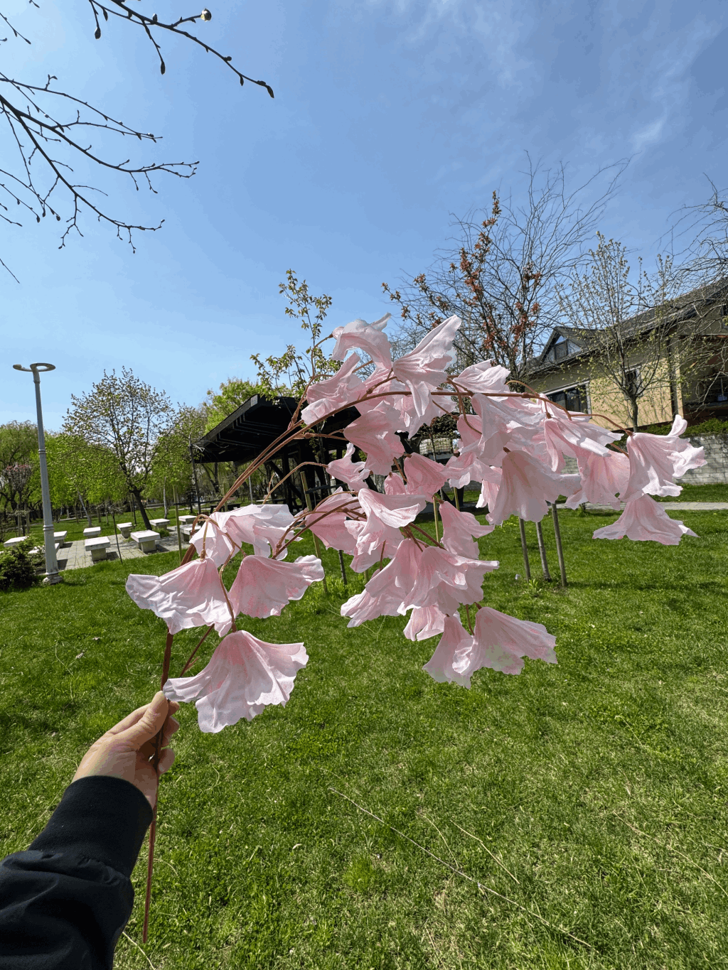 Ramură Florală Artificială cu Flori  80 cm, Diverse Culori, 1 buc
