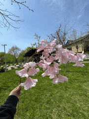 Ramură Florală Artificială cu Flori  80 cm, Diverse Culori, 1 buc