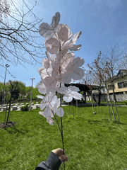Floare Artificială Decorativă Tip Ramură cu Flori Albe, Diverse Culori, 1 buc
