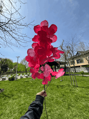 Floare Artificială Decorativă Tip Ramură cu Flori Albe, Diverse Culori, 1 buc