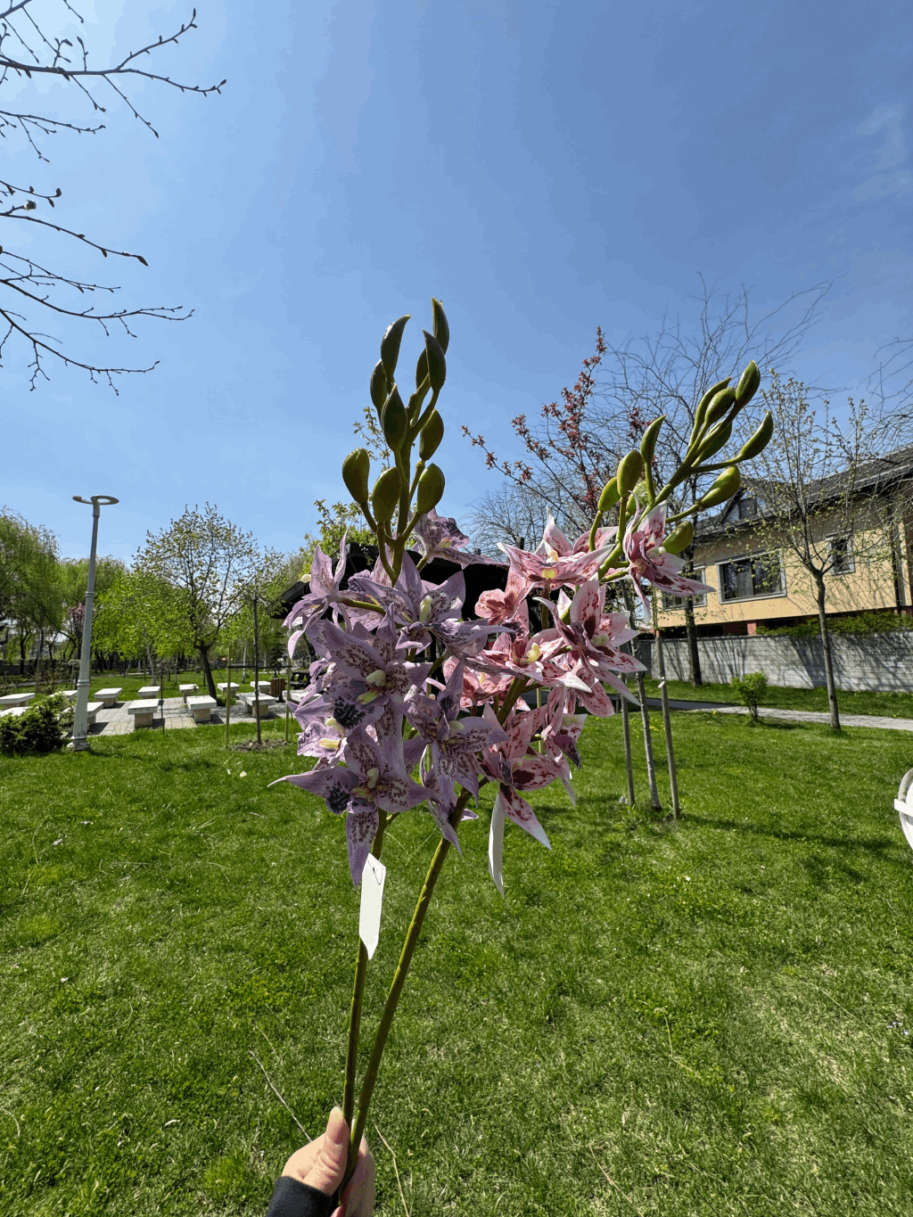 Floare Artificială Tip Orhidee Elegantă 80 cm, Diverse Culori, Aspect Exotic și Realist, 1 buc