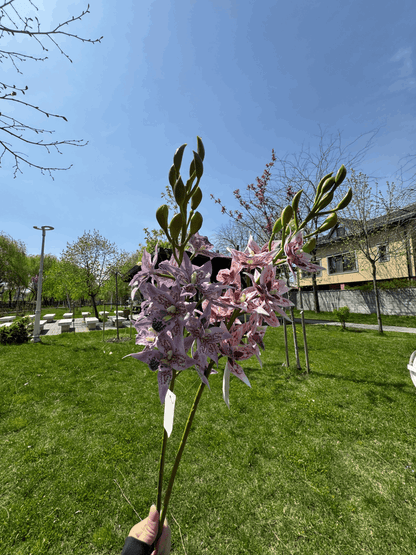 Floare Artificială Tip Orhidee Elegantă 80 cm, Diverse Culori, Aspect Exotic și Realist, 1 buc