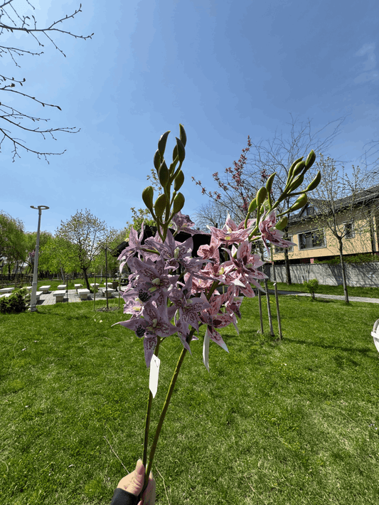 Floare Artificială Tip Orhidee Elegantă 80 cm, Diverse Culori, Aspect Exotic și Realist, 1 buc