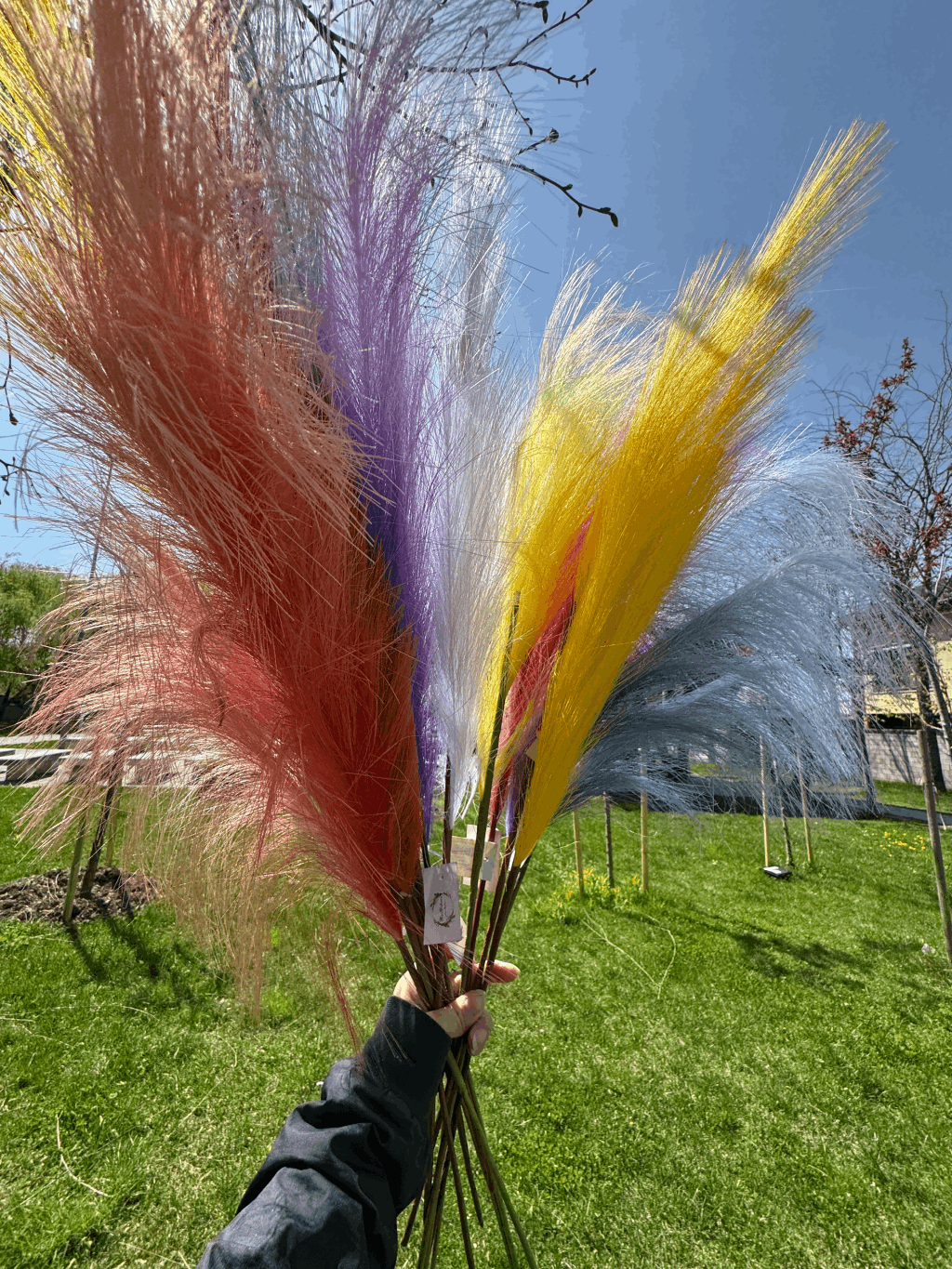 Pană Decorativă Artificială Tip Pampas 60 cm, Diverse Culori, 1 buc
