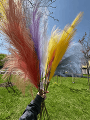 Pană Decorativă Artificială Tip Pampas 60 cm, Diverse Culori, 1 buc