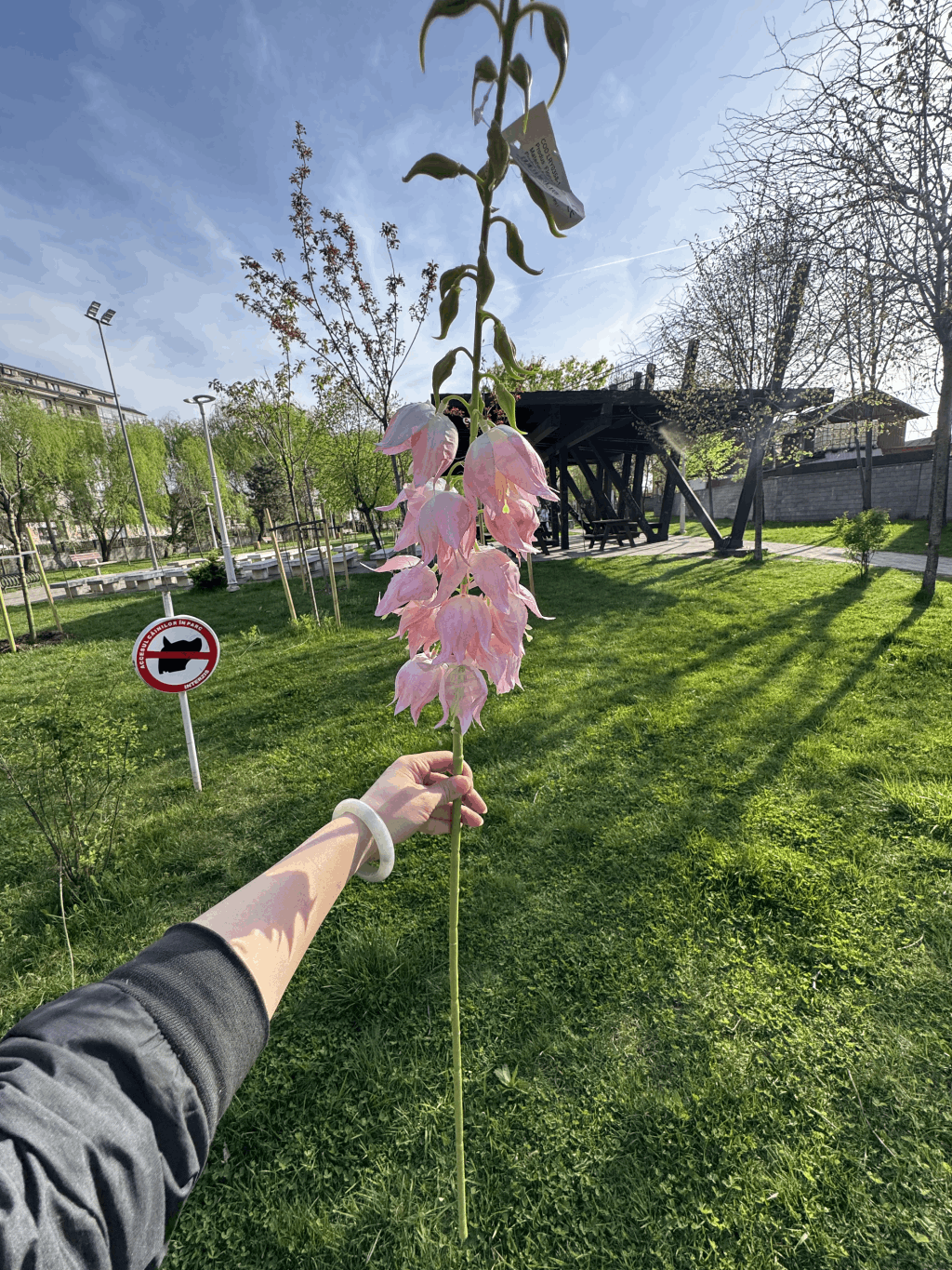 Floare Artificială Decorativă Tip Clopoței 75 cm, Diverse Culori, 1 buc