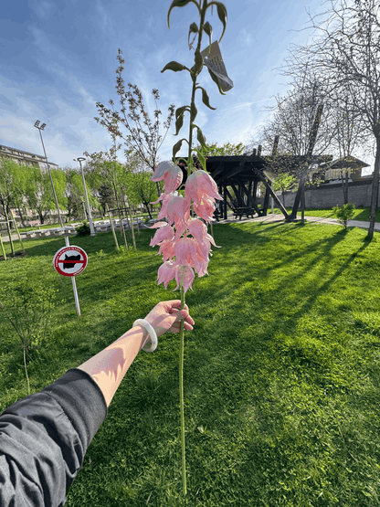 Floare Artificială Decorativă Tip Clopoței 75 cm, Diverse Culori, 1 buc