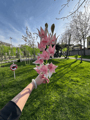 Floare Artificială Tip Crin pe Tijă 70 cm, Diverse Culori, 1 buc