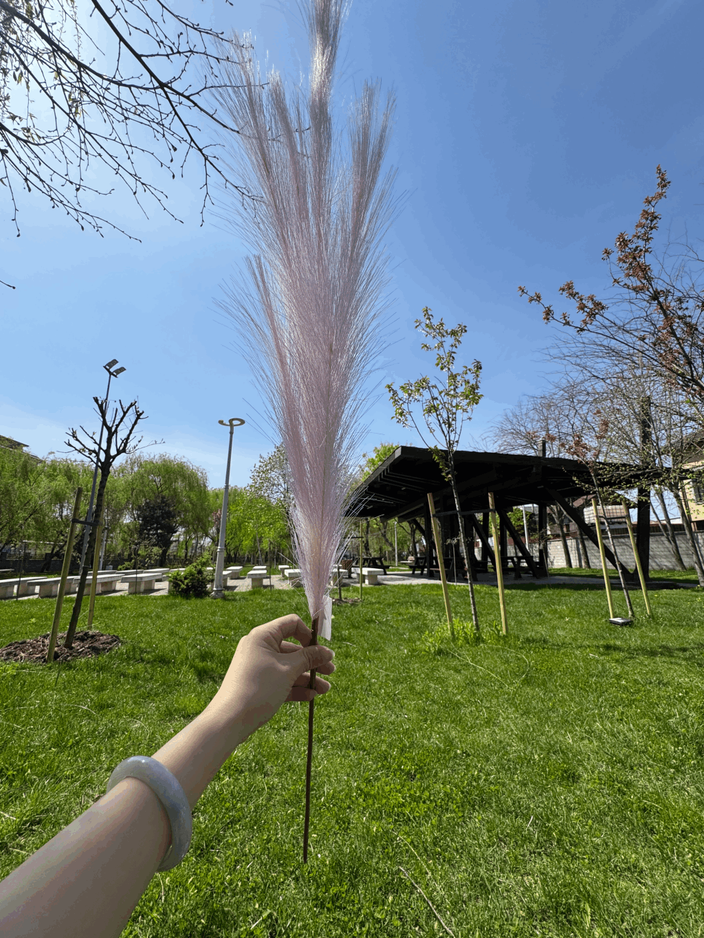 Pană Decorativă Artificială Tip Pampas 60 cm, Diverse Culori, 1 buc