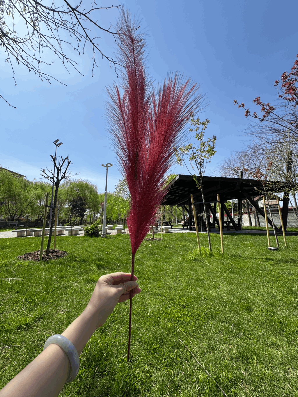 Pană Decorativă Artificială Tip Pampas 60 cm, Diverse Culori, 1 buc