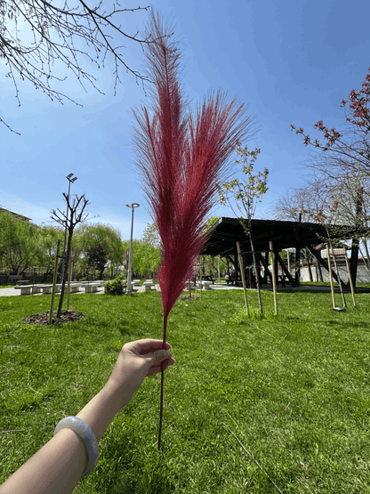 Pană Decorativă Artificială Tip Pampas 60 cm, Diverse Culori, 1 buc