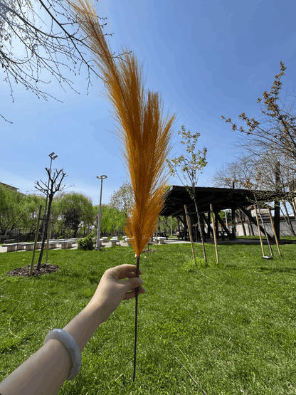Pană Decorativă Artificială Tip Pampas 60 cm, Diverse Culori, 1 buc