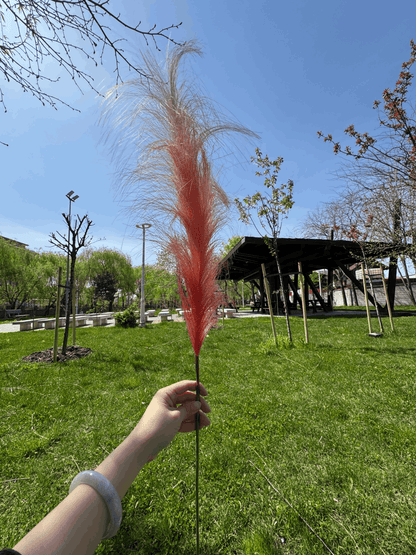Pană Decorativă Artificială Tip Pampas 60 cm, Diverse Culori, 1 buc