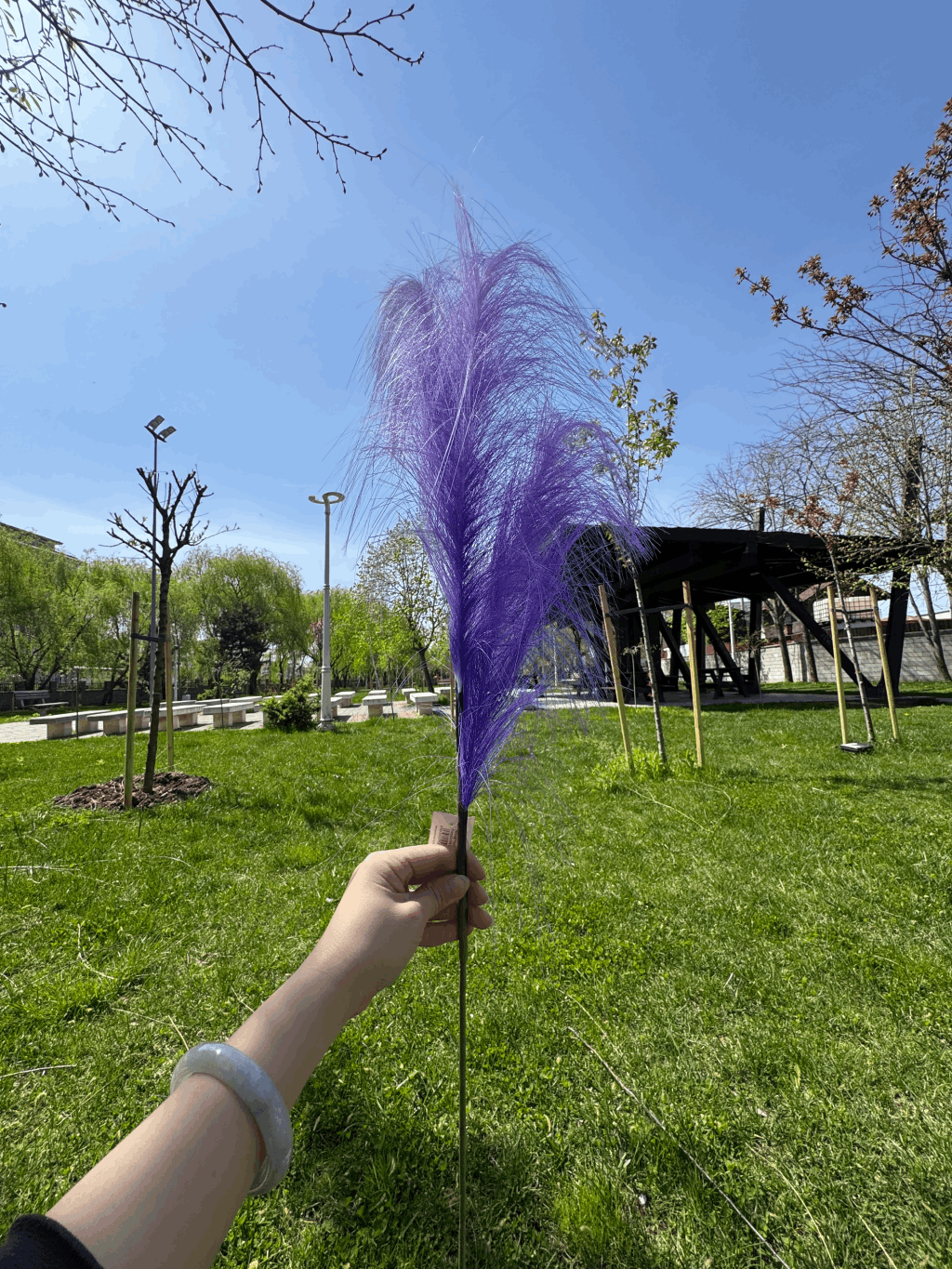Pană Decorativă Artificială Tip Pampas 60 cm, Diverse Culori, 1 buc